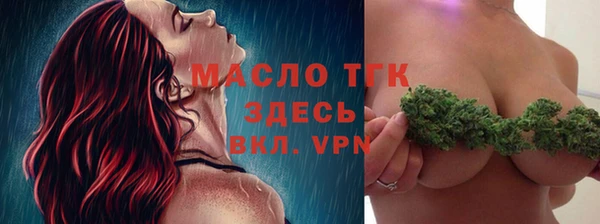 тгк Богородицк