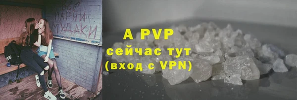тгк Богородицк