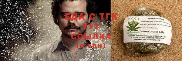 тгк Богородицк