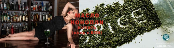 тгк Богородицк