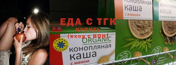тгк Богородицк