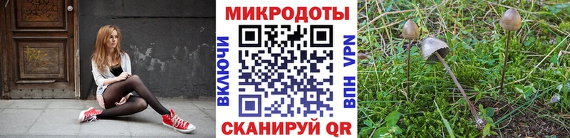 Галлюциногенные грибы прущие грибы  Купить где  Нерехта 